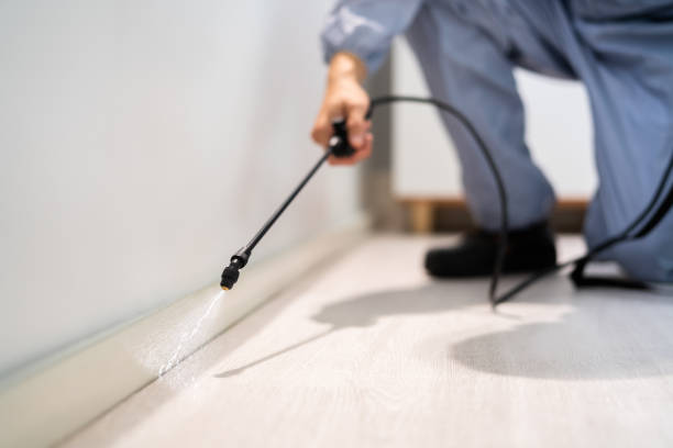Licensed Pest Control service in New Baden, IL - Show Me Pest Control