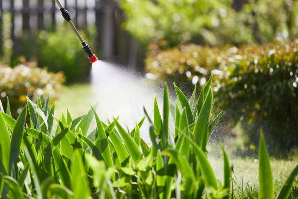 24/7 Emergency Wasp Removal experts in New Baden, IL