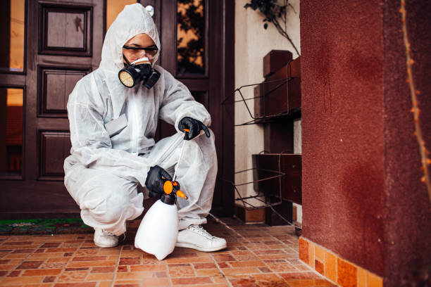 Reliable Wasp Removal contractor in New Baden, IL by Show Me Pest Control