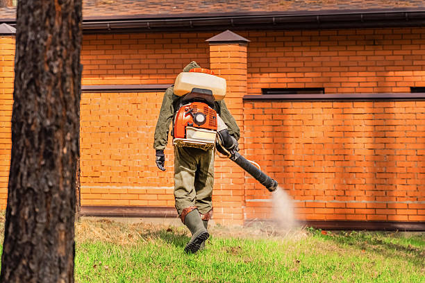Top rated local Wasp Removal specialists in New Baden, IL